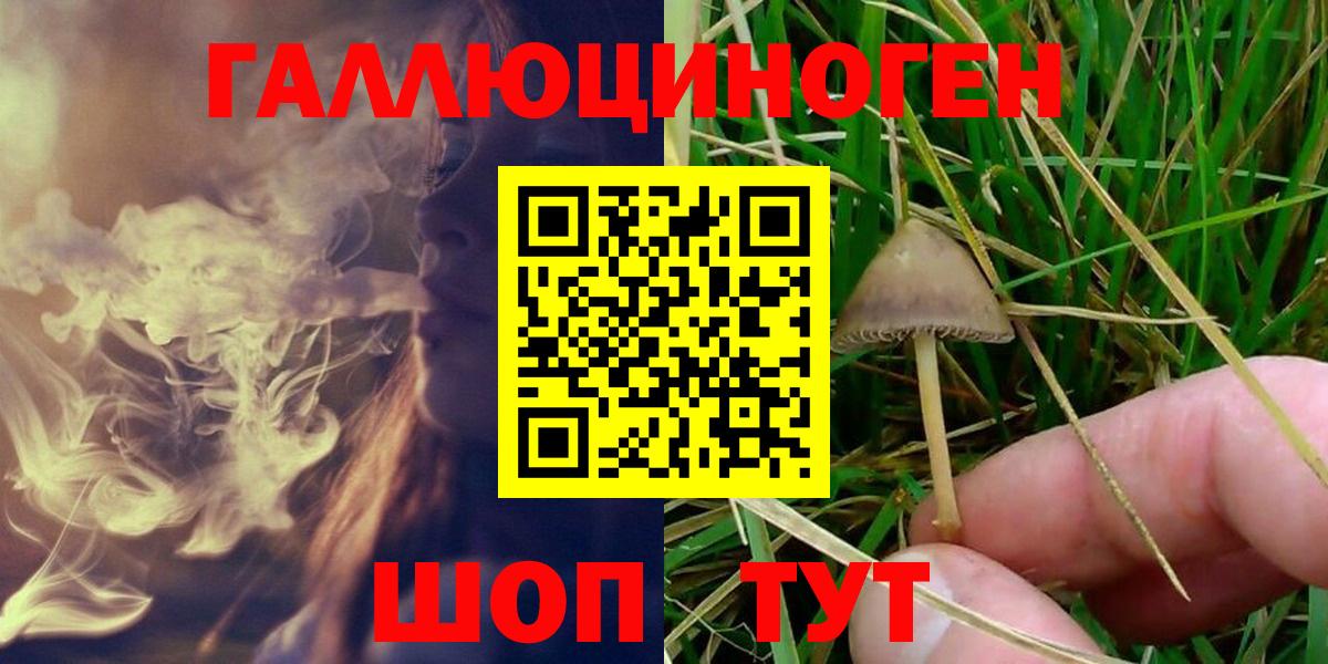 Октябрьский  Псилоцибиновые грибы мухоморы  Вход с VPN 